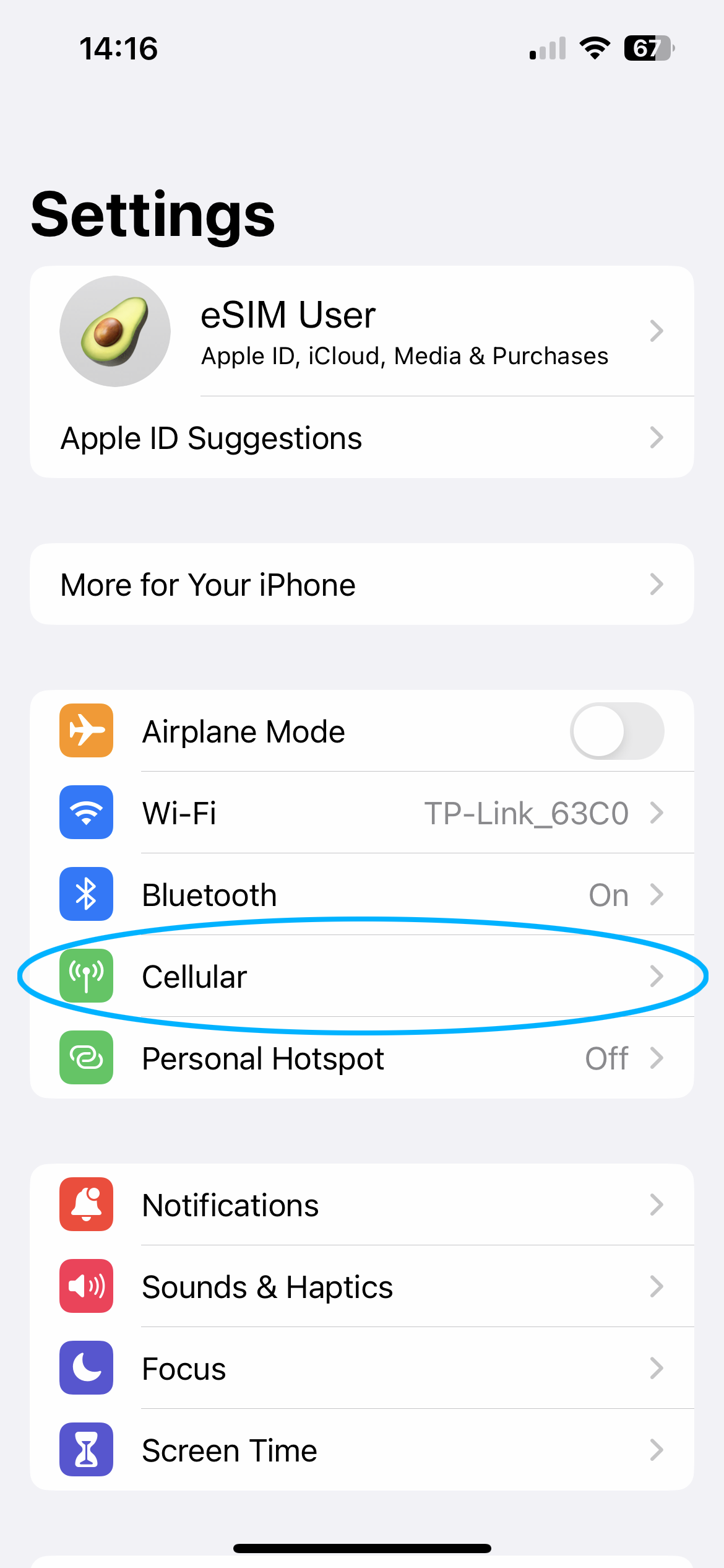 iPhone eSIM Setup Step 1.1
