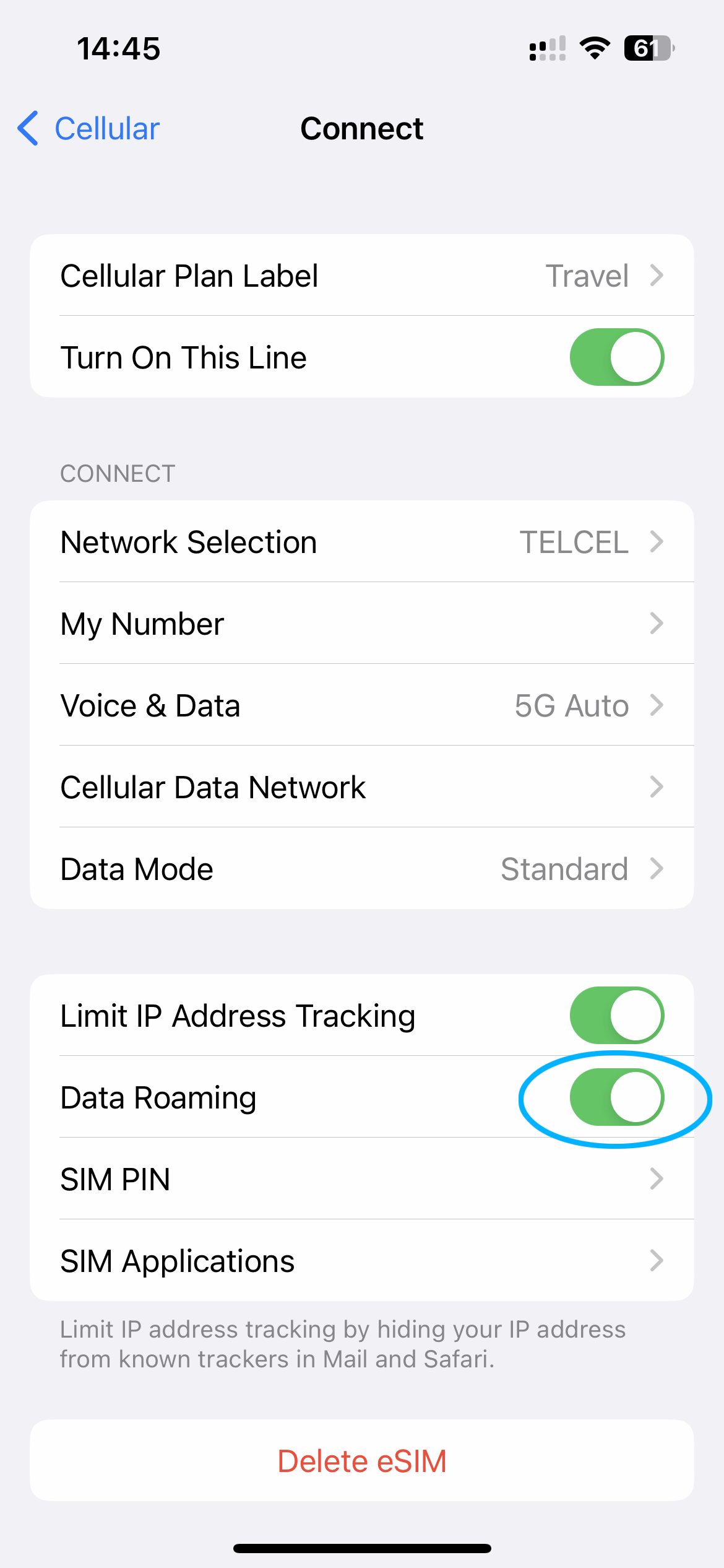 iPhone eSIM Setup Step 4.2